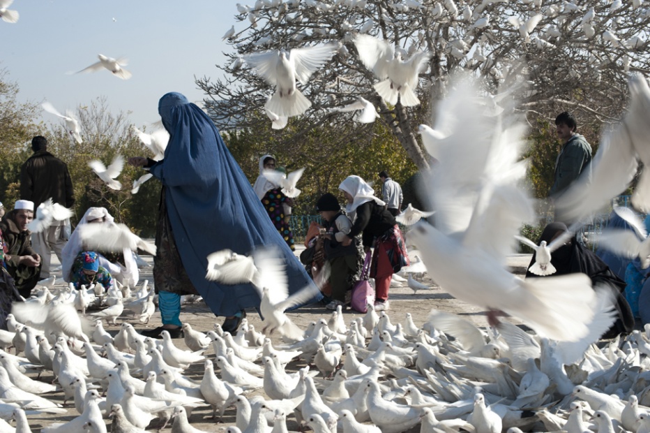 An afghan feeds doves in front of the Blue Mosque, Mazar-i-Sharif 2012
It is a peaceful, sunny day in Mazar-i-Sharif. An afghan woman comes to a mosque to pray feeding the pigeons afterword.
All the pigeons in Mazar are white. There is a legend which says that every pigeon that sits once on the dome of mosque will become white within a few days.
